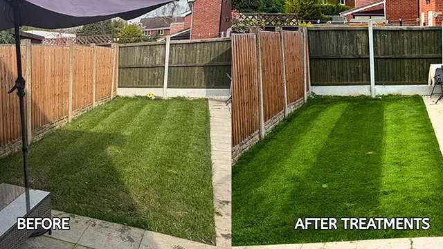 A lawn before and after treatment
