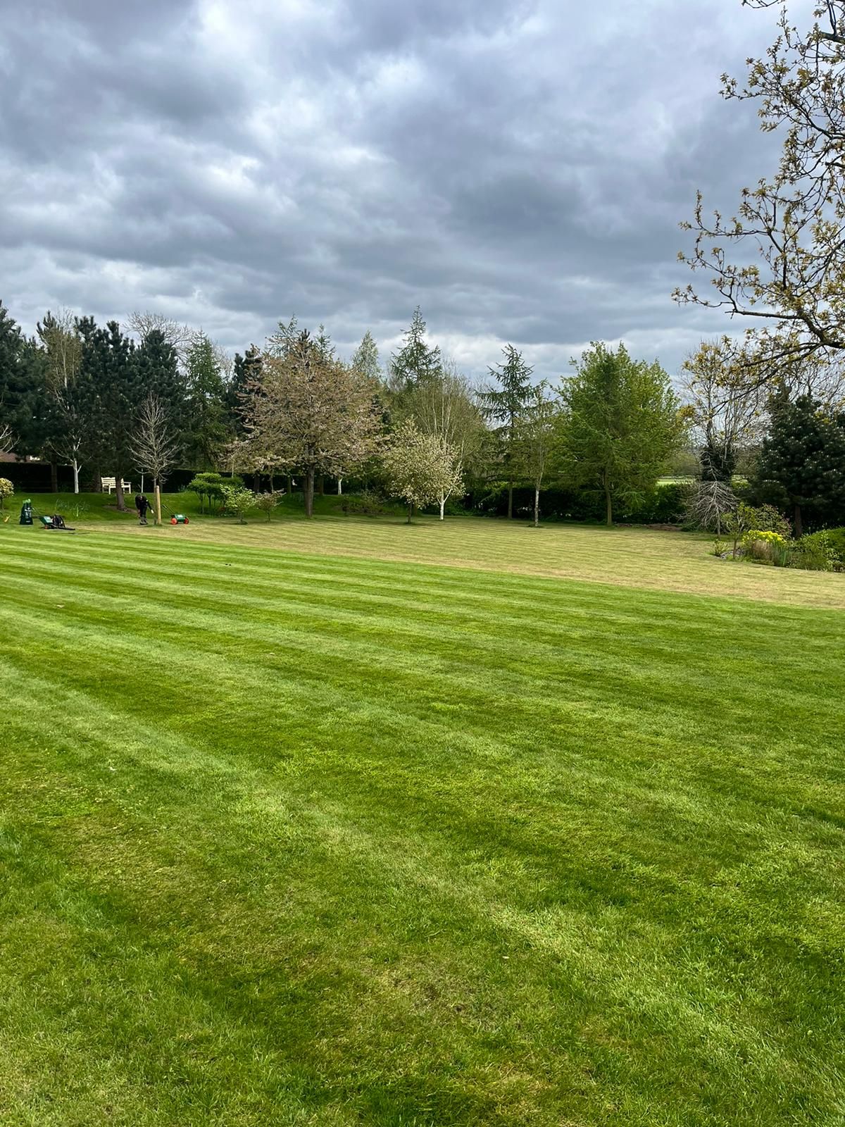 Green striped lawn near Coventry following renovation
