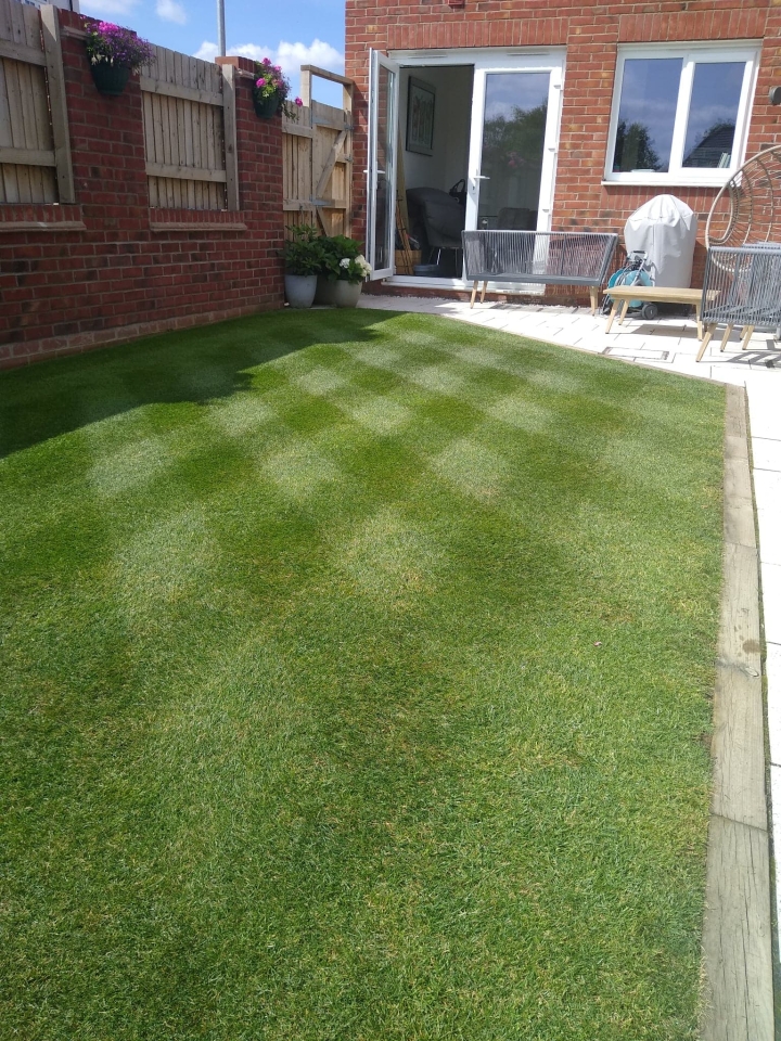 A lovely small lawn which would be a minimum priced lawn for a lawn treatment service 