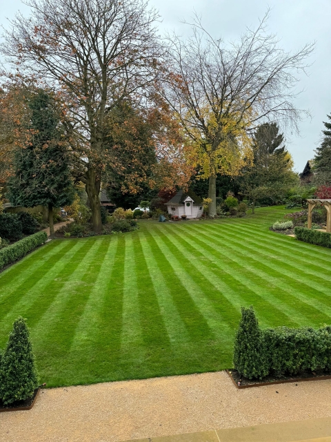 Top Rated Lawn Services!