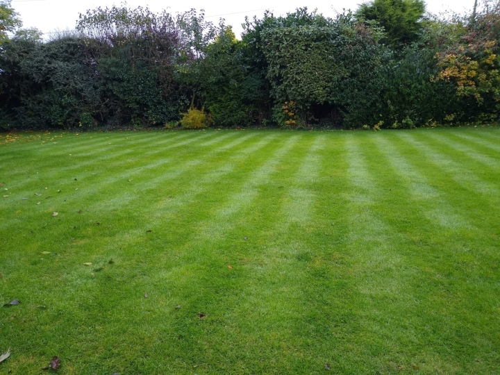 A Nicely Stripped Lawn