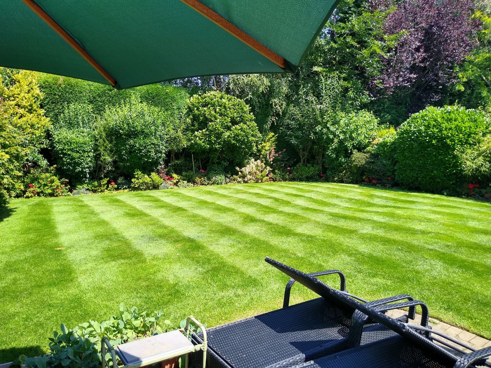 This image is of a lovely rear garden which is thriving with our lawn care services with the colour and thickness of the grass. There are trees to the rear making this a an amazing lawn. It has been mown in two directions giving a striped effect