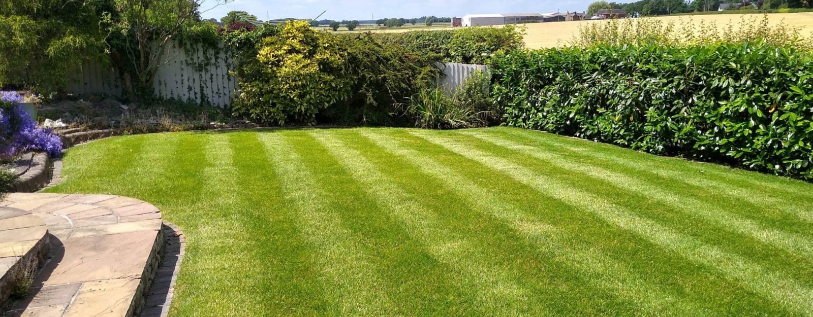 lawn-repair-near-me-lawn-maintenance-programs