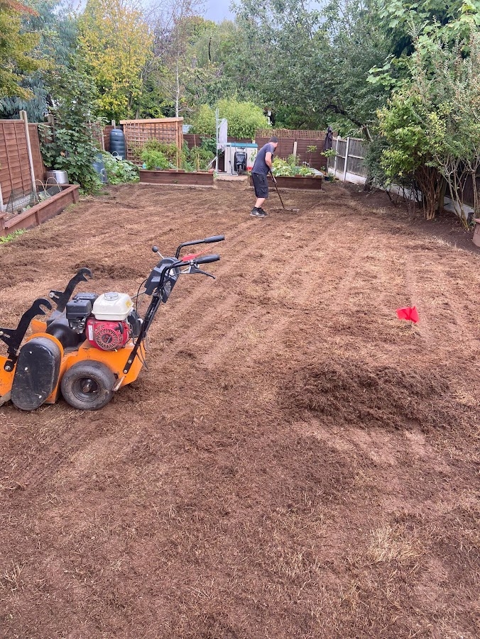 This image is of a lawn during restoration from our lawn experts