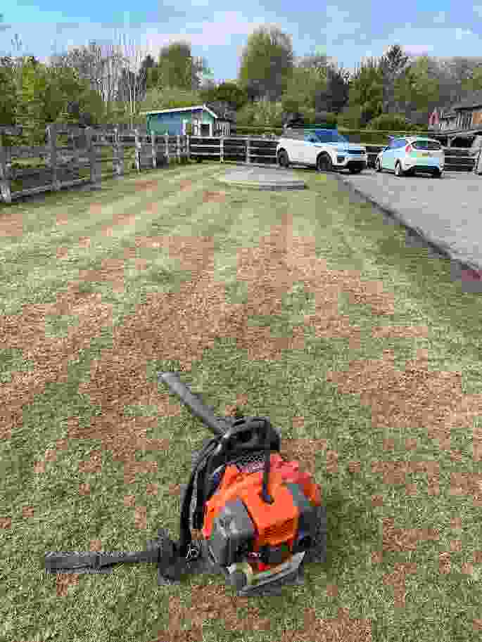 This image is of a lawn during lawn renovation. The renovation waste has been cleared off the lawn with a blower in the picture