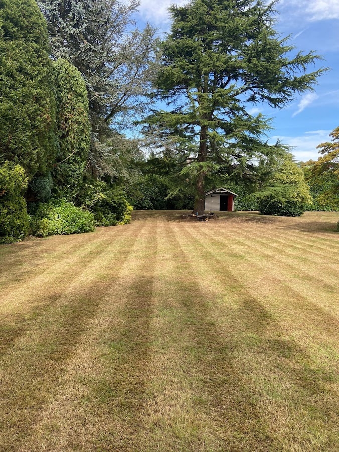 This image is of the same large lawn during it's lawn repair. We're proud to be leading lawn renovators