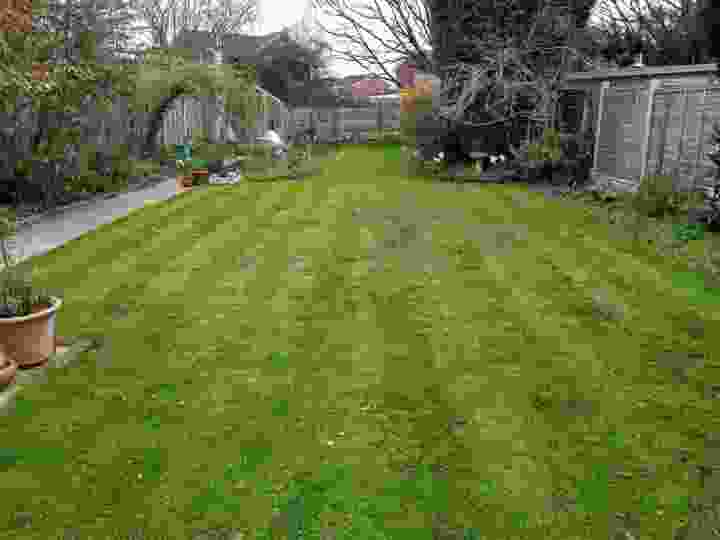 This image is of a lawn in need of restoration, including the need for lawn aeration. There is a lot of moss visible within this lawn before beginning our lawn care services