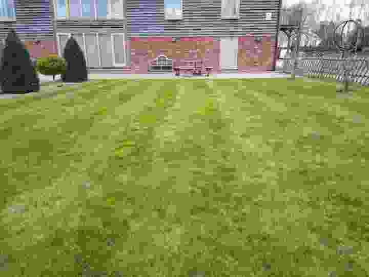 This image is of a lawn which requires a lawn treatment service due to the level of moss within the lawn