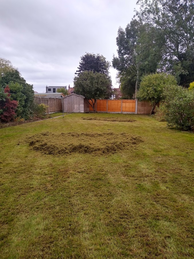 This image is of a lawn renovation in progress | Lawn renovators