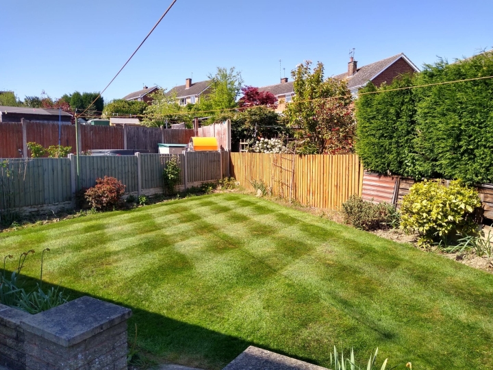This image is of a small lawn which benefits from lawn care services. It's nicely striped and a lovely green with clear blue sky