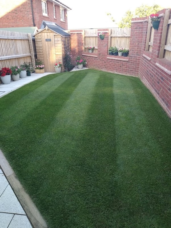 New Build Lawn Care | Lawn Care Services | Kingsbury Lawn Care