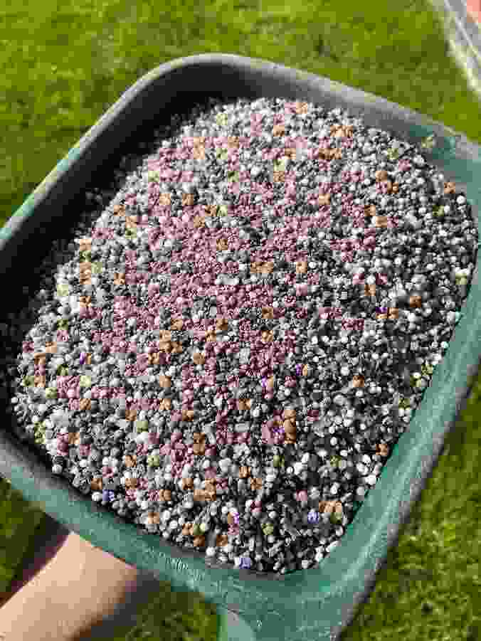 This image shows a granular fertiliser product in a spreader ready for application as per of our lawn services