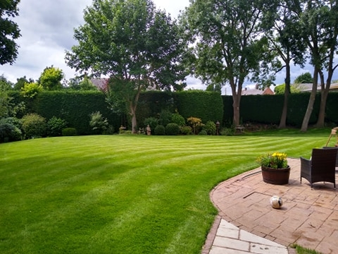 Well Manacured Lawn