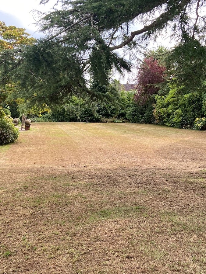 This image shows the lawn following the completion of its lawn renovation at while point our lawn maintenance programs will help this lawn improve