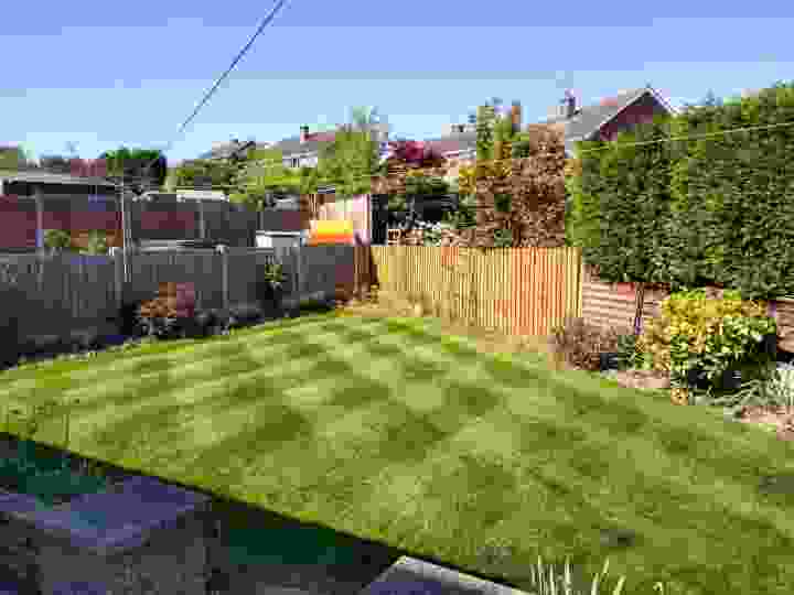 This image is of a small lawn looking fantastic having benefitted from lawn services