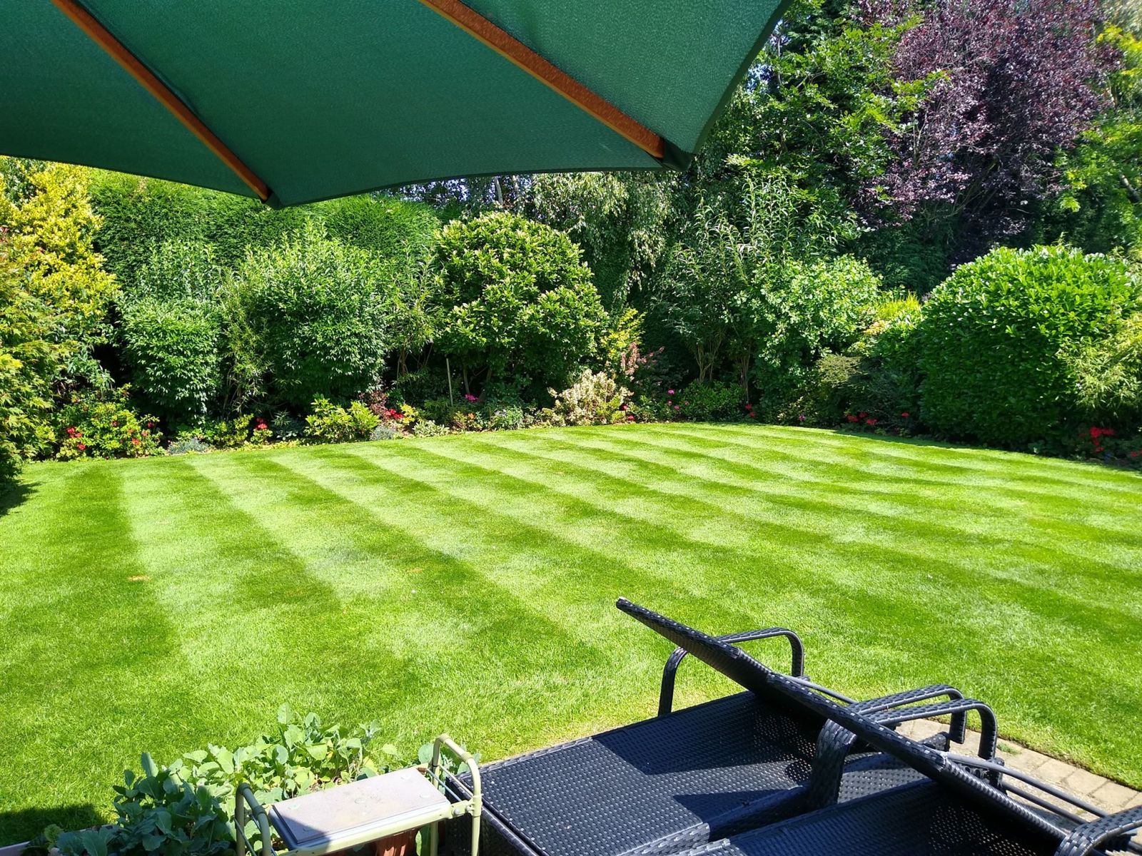 Bright striped customer lawn viewed from a garden patio