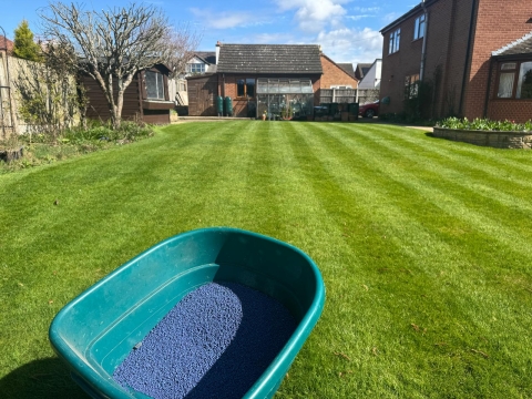 10 Reasons Why You Should Use a Lawn Treatment Service This Spring