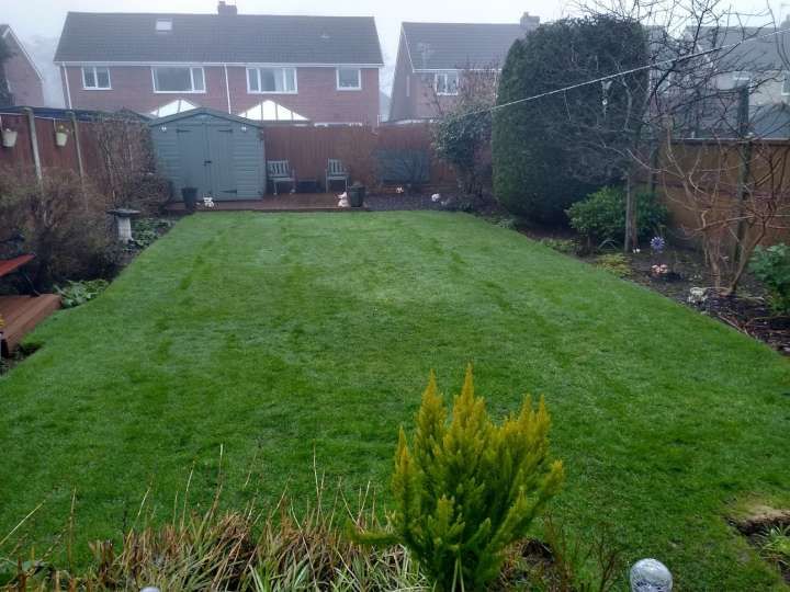 Healthy green lawn in a tidy residential garden