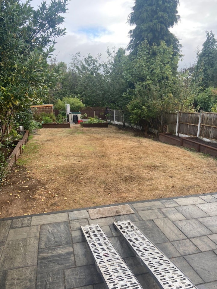 This image is of a lawn before restoration