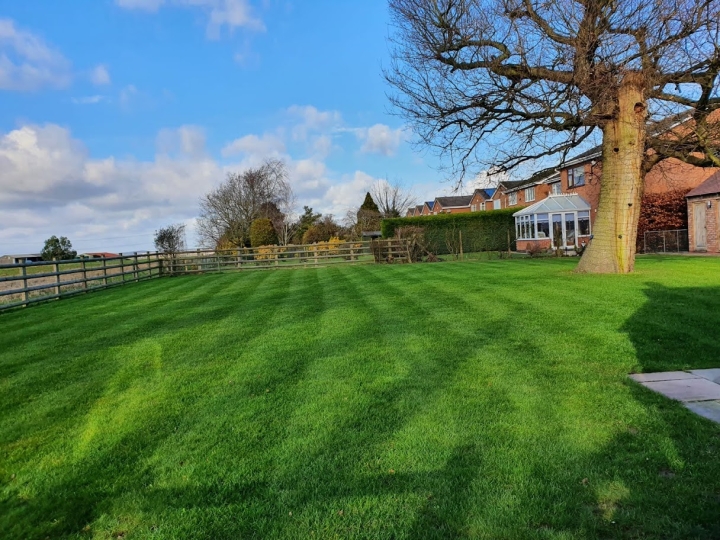 This image is of a fantastic lawn in some autumn sunshine with the homeowner clearly playing their part hand in hand with our lawn care services