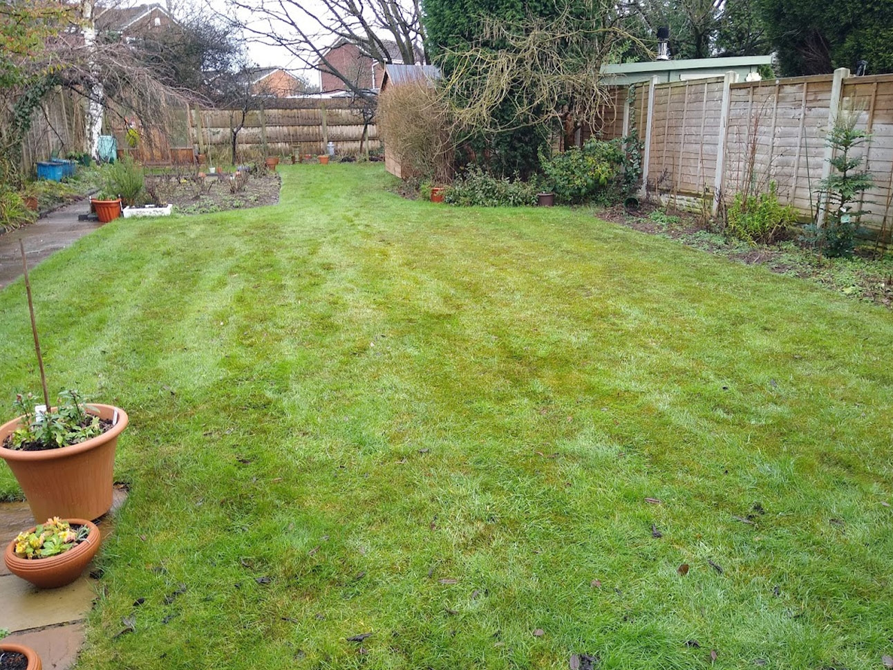 Moss Removal Before