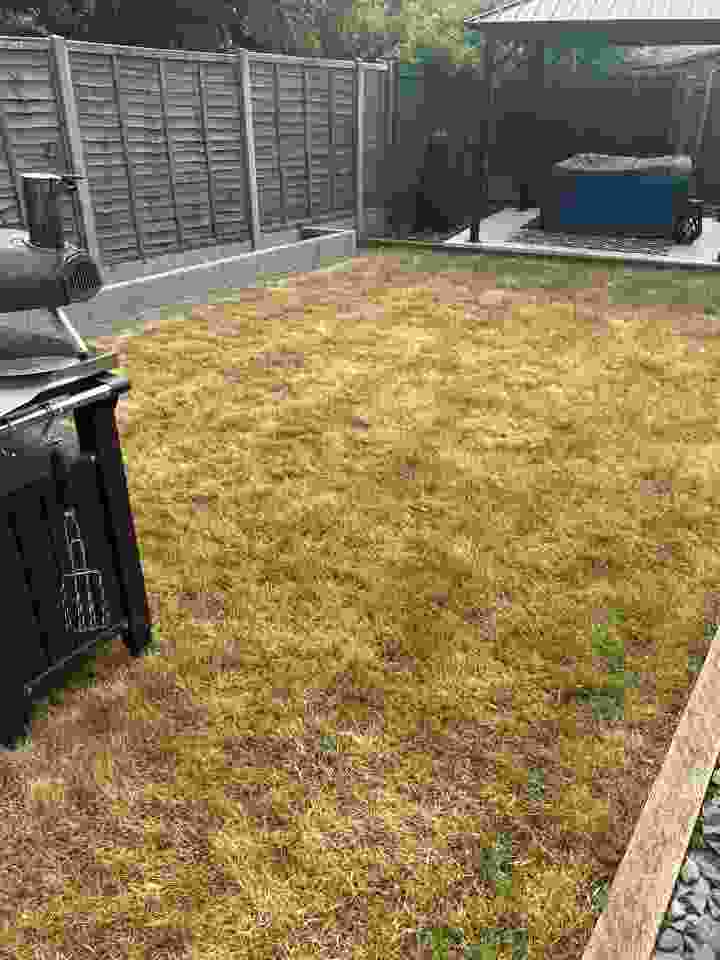 A dry lawn during a lawn treatment visit | Kingsbury Lawn Care