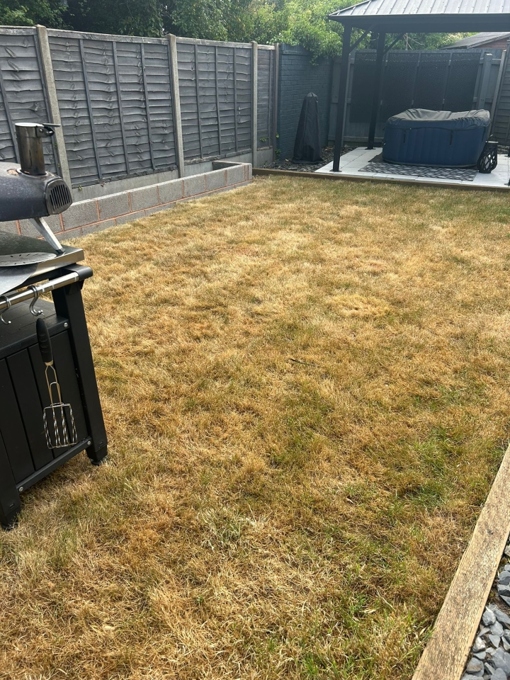 A dry lawn during a lawn treatment visit | Kingsbury Lawn Care