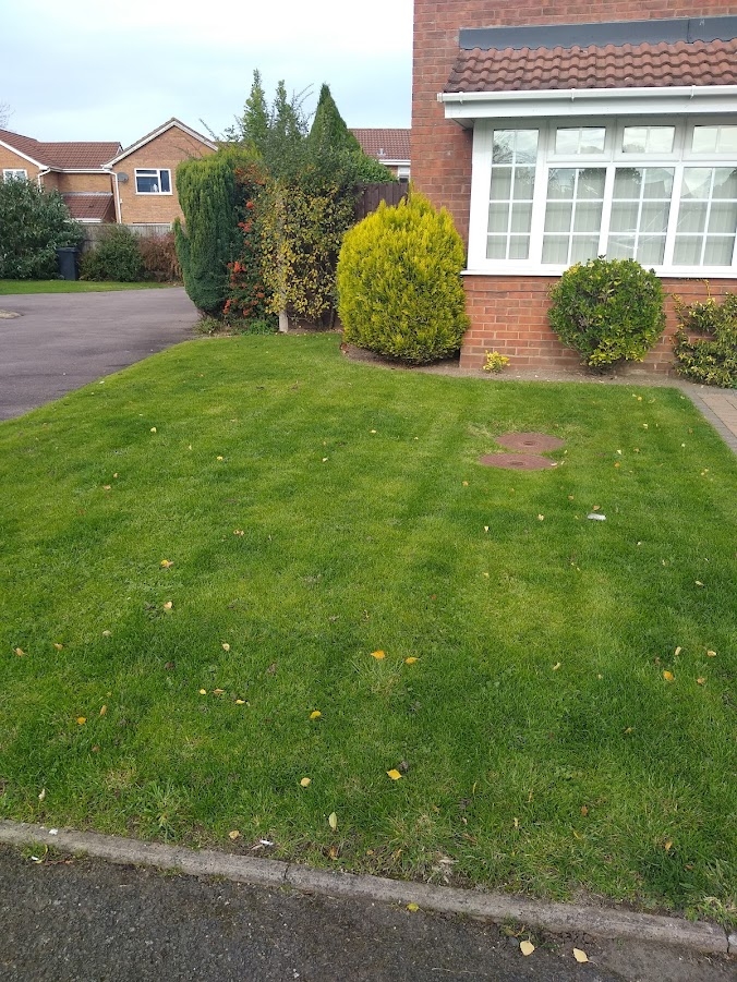This image shows the results from our lawn renovation service
