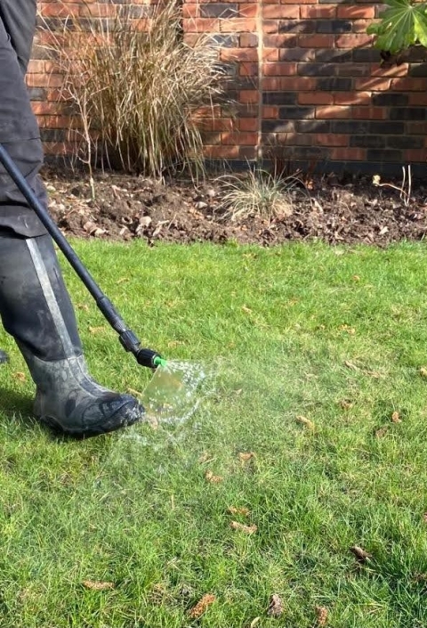 How do Lawn Services Control Weeds so Effectively?