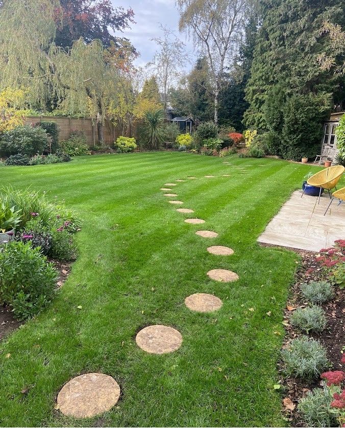 A rear lawn following overseeding | Kingsbury Lawn Care