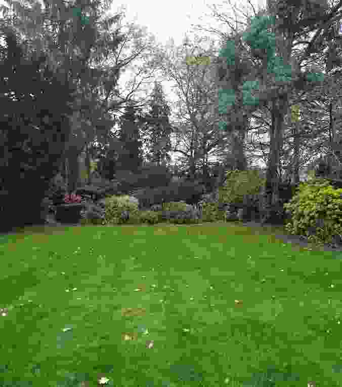 This image is of a large lawn near Walsall which has been enhanced by our lawn care services
