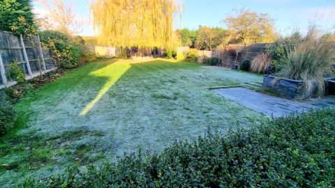 What Does a Lawn Care Service do on a Frozen Day?