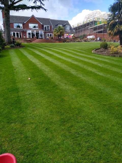 Early Spring Lawn Care - First Treatment Impact!