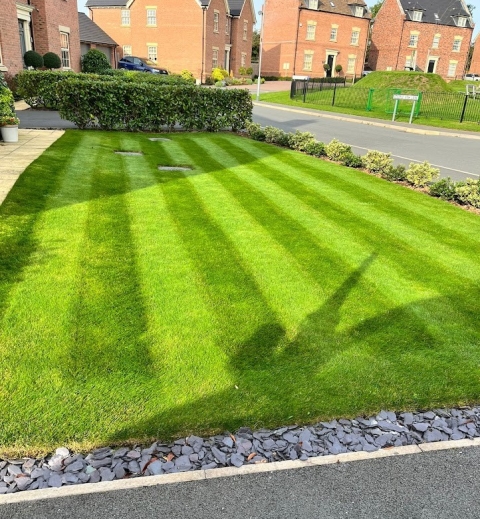 The Top 6 Problems With Grass Care Services And Their Solutions