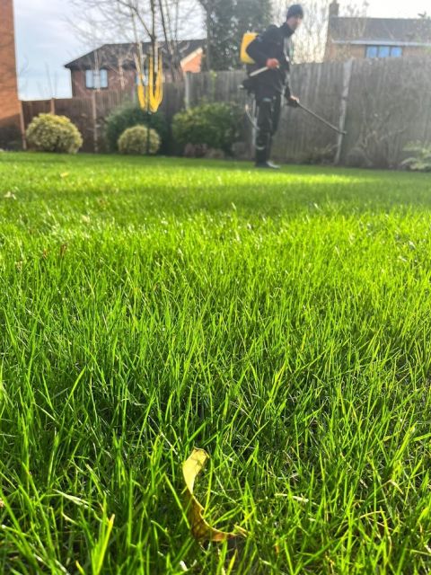 The Top 6 Problems With Grass Care Services And Their Solutions