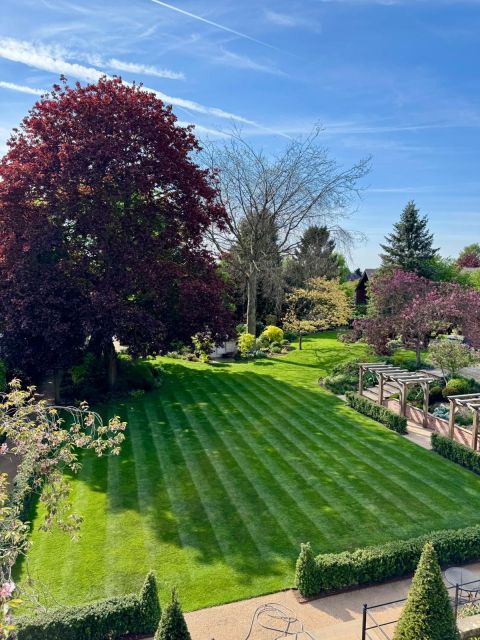 Returfing vs. Renovation - Why Choose a Lawn Renovation