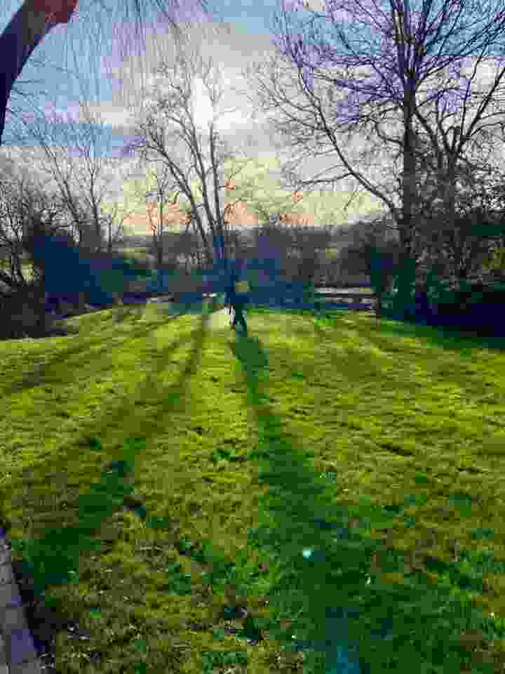 This image is of one of our lawn experts in the distance making a lawn treatment service application