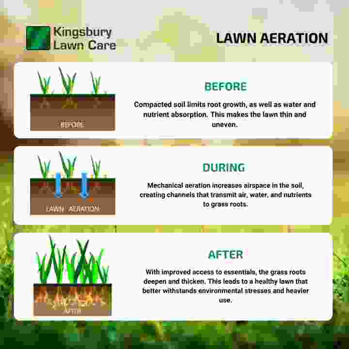 An infographic showing the benefits of lawn aeration | Kingsbury Lawn Care