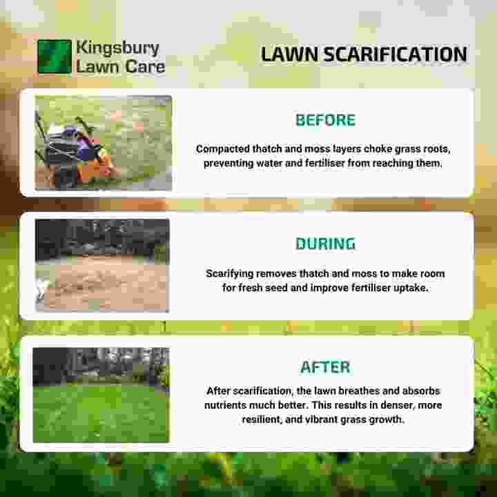 An infographic showing the benefits of lawn scarification | Kingsbury Lawn Care