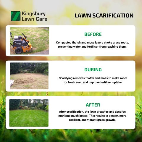 Lawn Repair and Renovation - The Spring Results!