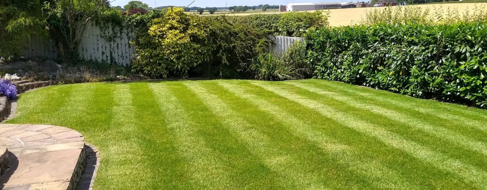 Sunlit striped customer lawn with planted borders