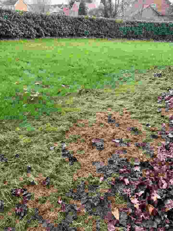 A lawn which has lost its colour due to leaves not being cleared