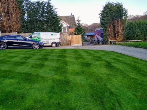 Lawn Moss Control - My Top Tips