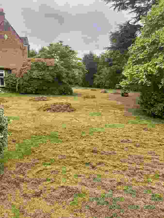 This image is of a large lawn undergoing a lawn renovation from our team of lawn experts
