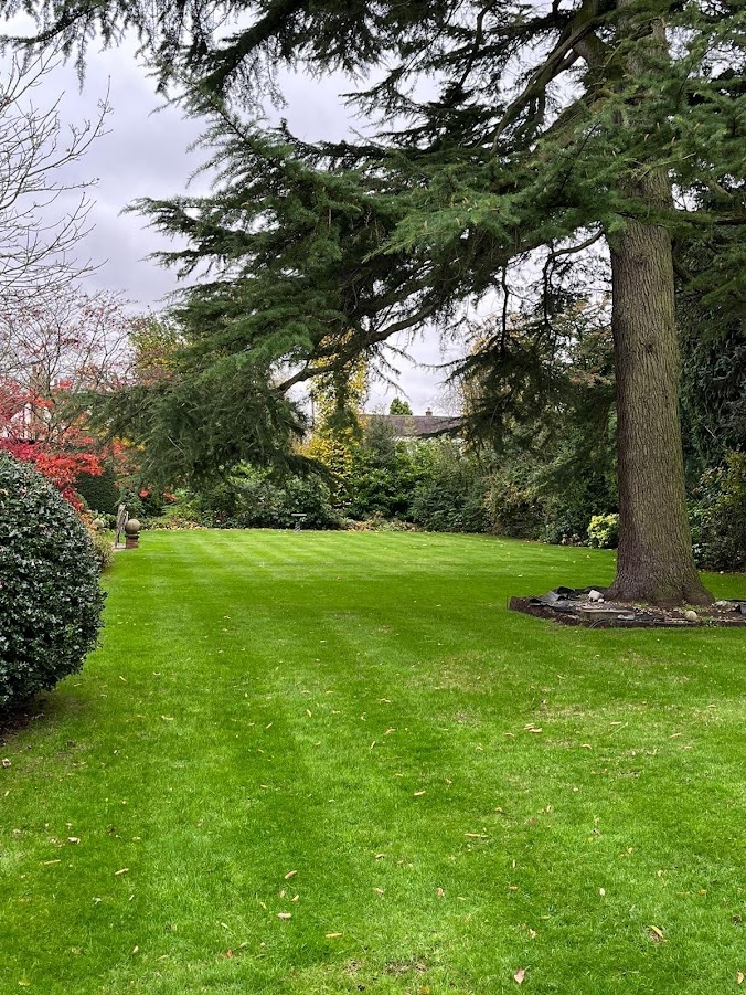 This image shows the results of our lawn care services following a lawn renovation