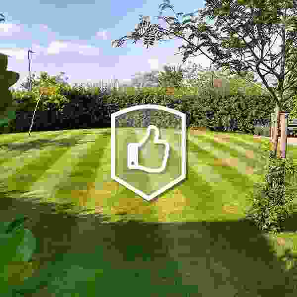This image is of a lawn which looks fantastic aided by our lawn treatment services