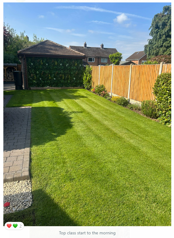 A lovely back lawn following treatment | Kingsbury Lawn Care