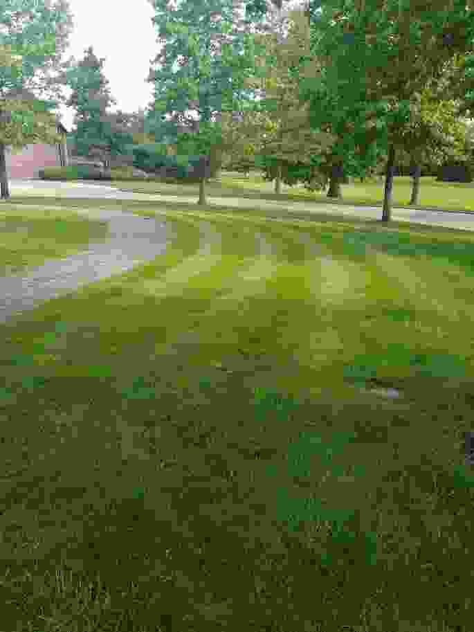 This image is of a large front lawn recently mown with stripes deep green in colour largely thanks to our lawn care services and ongoing maintenance