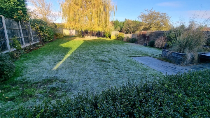This image is of a frosty lawn not yet ready for treatment