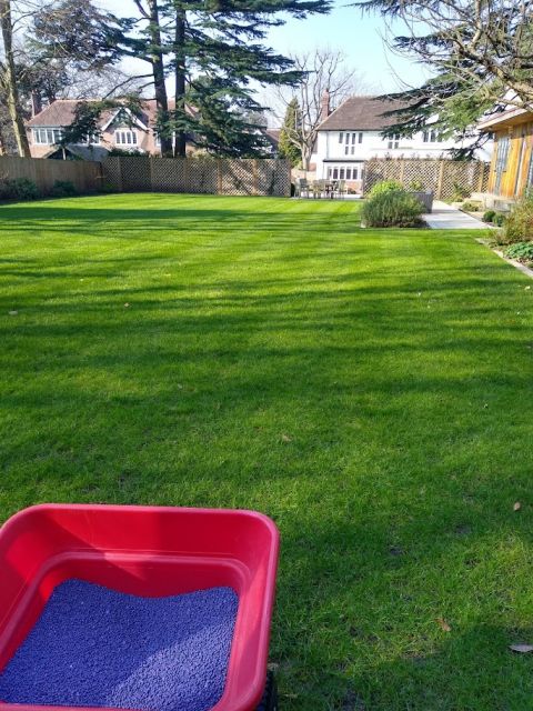Autumn Lawn Care Secrets